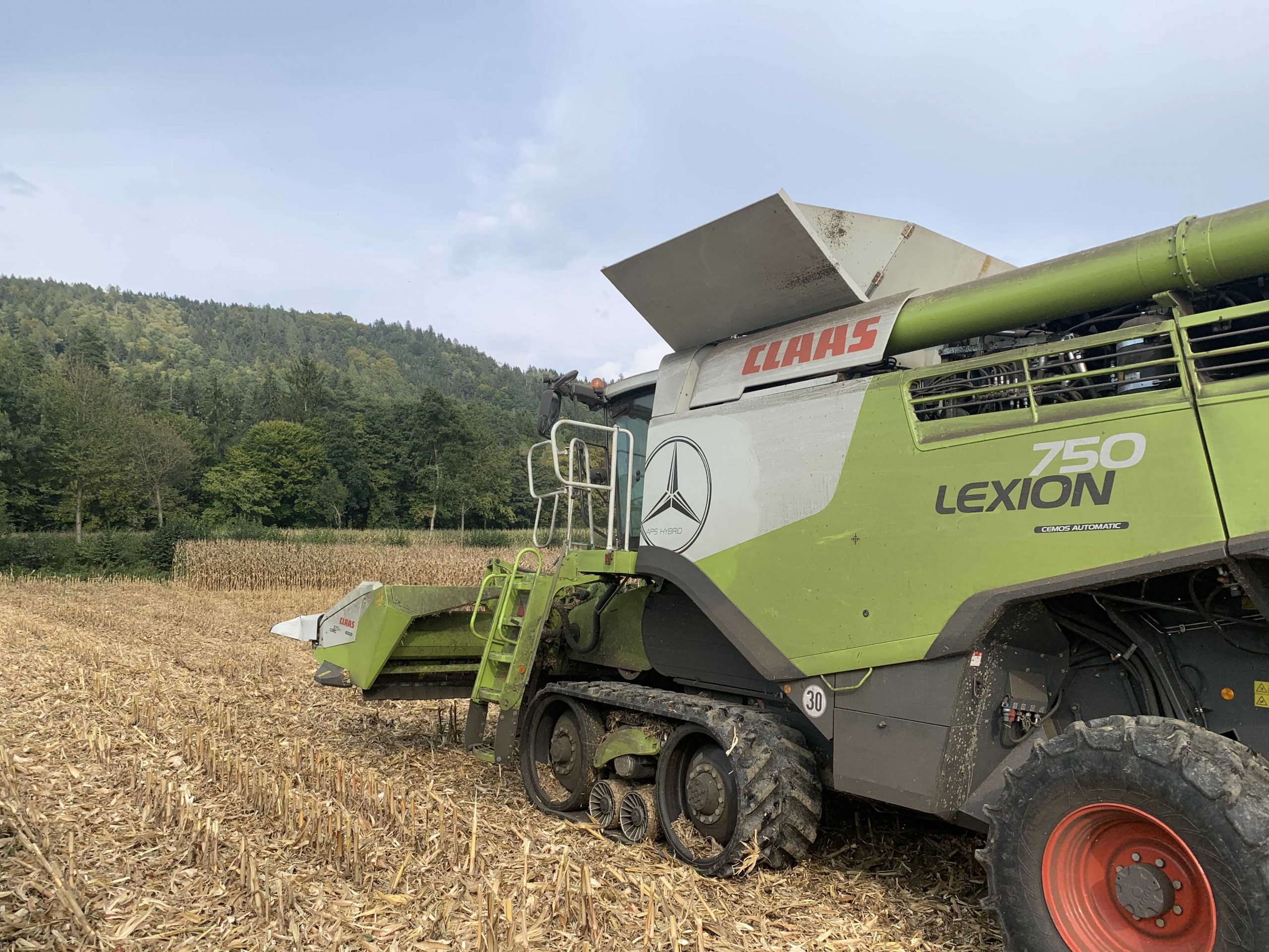 Read more about the article Schlechteste Maisernte in Frankreich seit 30 Jahren – Maispreise fallen trotzdem