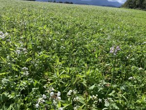 Warum Landwirte Superhelden sind