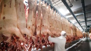 Vertrag unterzeichnet: Tönnies baut Schlachthof in China