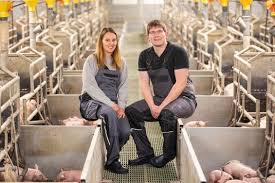 Schweinehaltung: So geht Transparenz