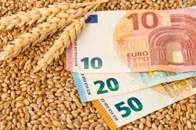 Read more about the article Die Getreidepreise steigen in neue Dimension: Neue Ernte über 430 Euro