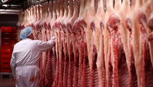 Read more about the article China wird zum wichtigsten Schweinefleischkunden Dänemarks