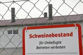 Read more about the article Österreich: Schweinehalter schockiert über Stalleinbrüche
