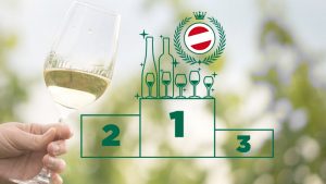 Read more about the article Unsere Ausgezeichneten Weine