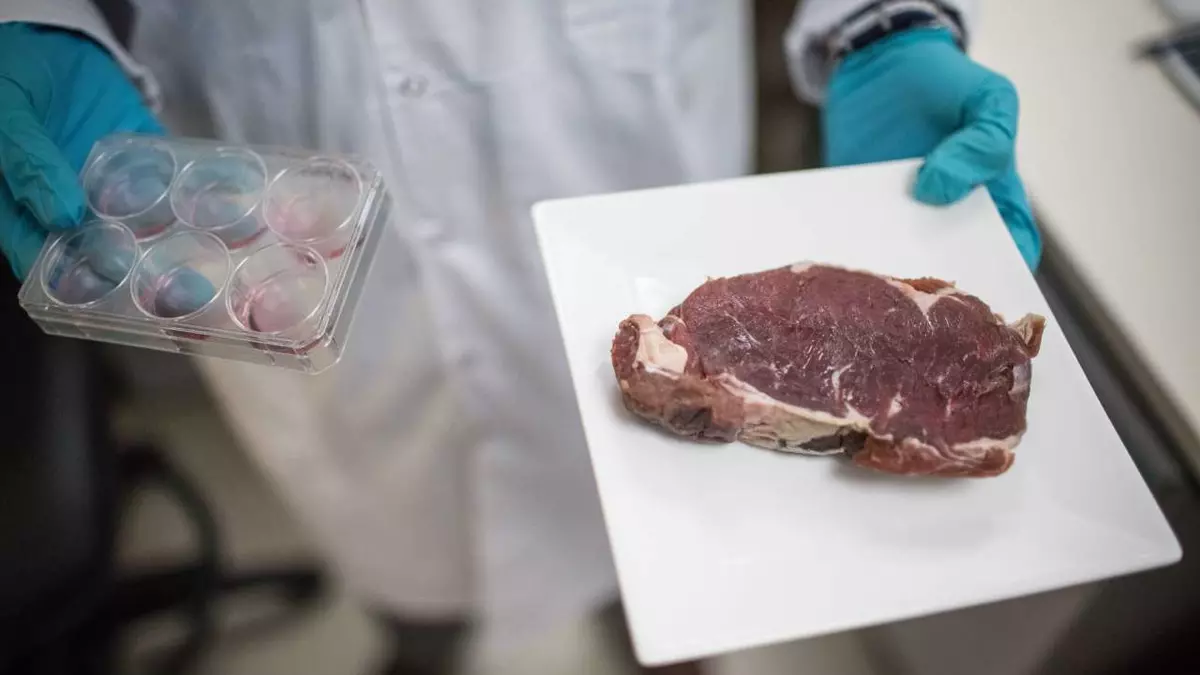 You are currently viewing Dänemark: Forscher sehen viele offene Fragen bei In-vitro-Fleisch