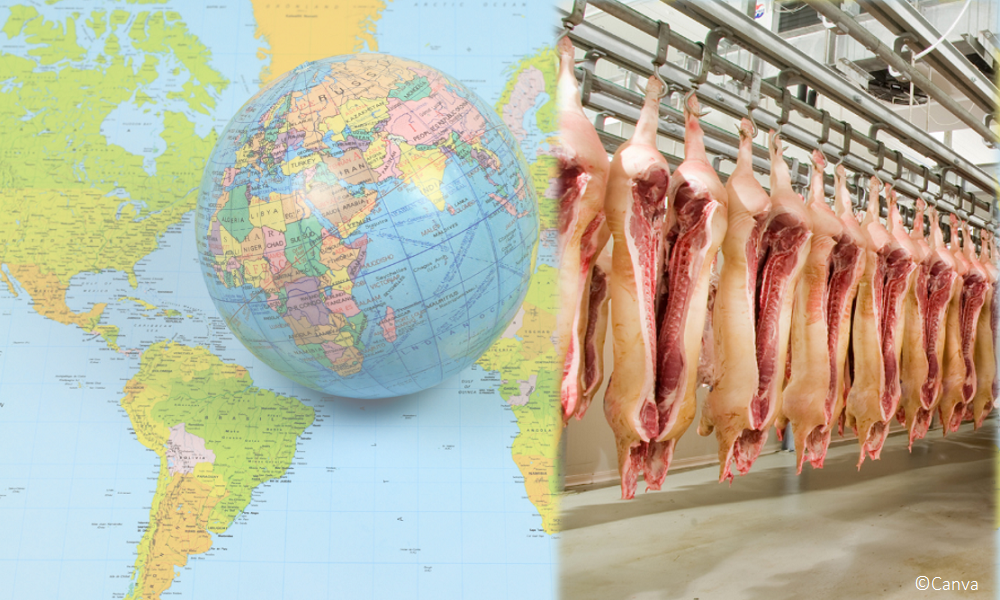 You are currently viewing USDA-Prognose 2022: Rückgang der weltweiten Schweinefleischerzeugung