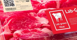 Read more about the article Weltgrößter Fleischkonzern JBS steigt bei Laborfleisch ein