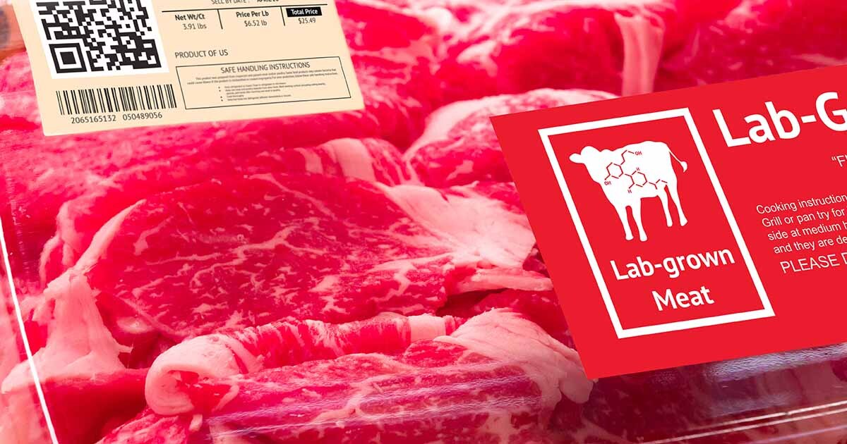 You are currently viewing Weltgrößter Fleischkonzern JBS steigt bei Laborfleisch ein