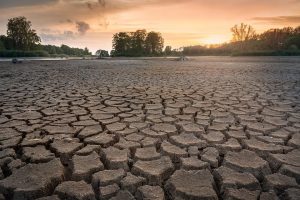 Read more about the article Bauern warnen wegen Trockenheit vor schlechter Ernte – und noch höheren Preisen