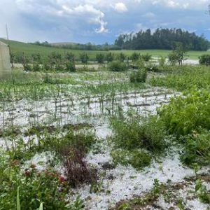 Read more about the article „Grundwasser, Seen und Agrarflächen in Gefahr“